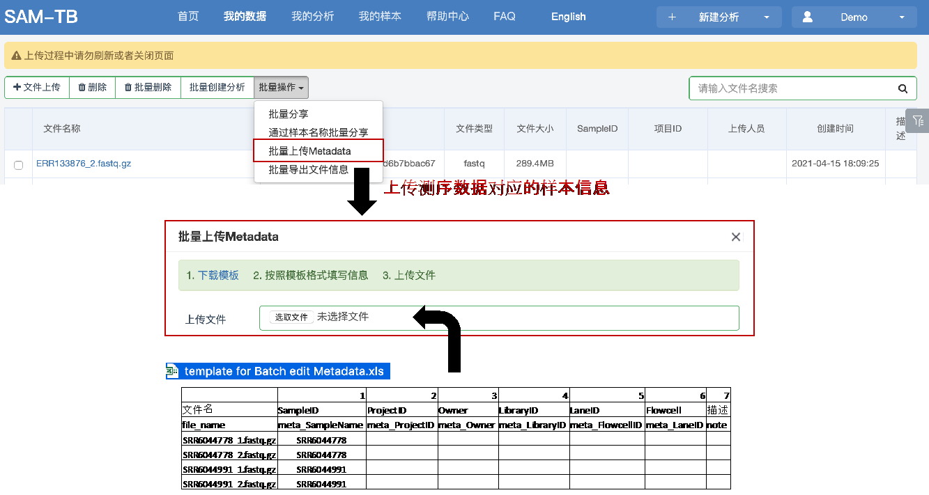 mydata 01